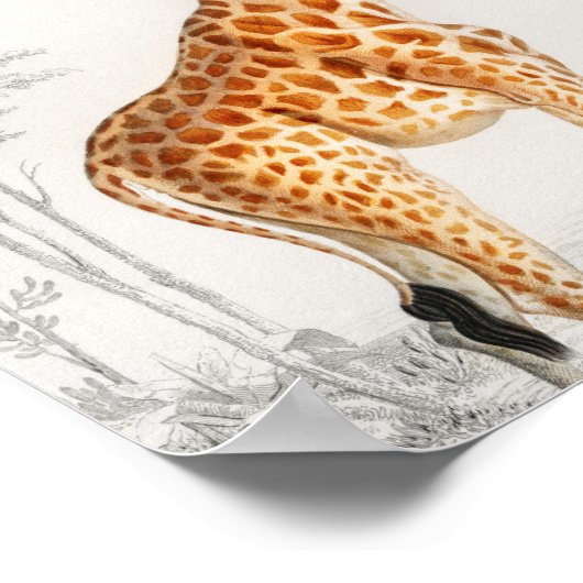 Giraffe Illustratie Art Print (Hoek)