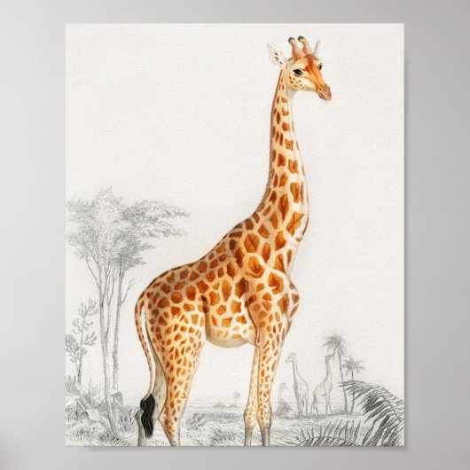 Giraffe Illustratie  Art Print (Voorkant)