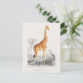  Giraffe Illustratie Briefkaart (Staand voorkant)