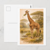Giraffe-illustratie in vintage stijl briefkaart (Voorkant / Achterkant)
