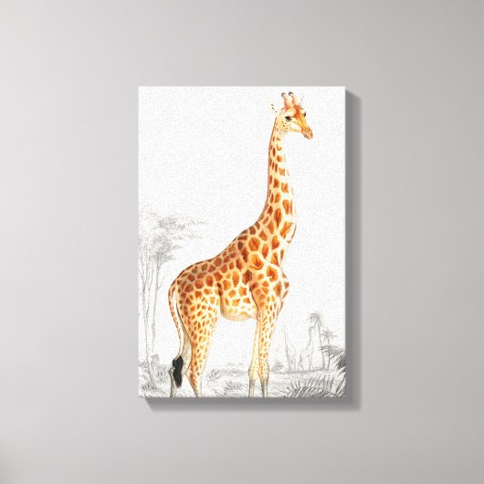 Giraffe Illustratie Vintage Kunstprint Canvas Afdruk (Voorkant)