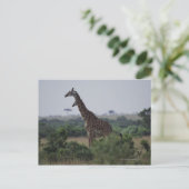 Giraffe in Afrika Briefkaart (Staand voorkant)