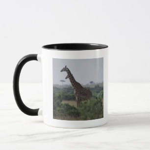 Giraffe in Afrika Mok