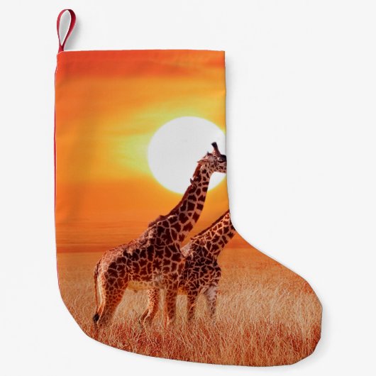 Giraffe in de Afrikaanse savanne tegen de achtergr Kleine Kerstsok (Voorkant)