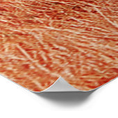 Giraffe in de Afrikaanse savanne tegen de achtergr Poster (Hoek)