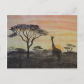 Giraffe in de Afrikaanse Sunset Briefkaart (Voorkant)