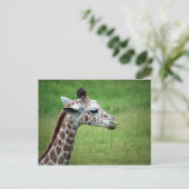 Giraffe in de regen briefkaart (Staand voorkant)