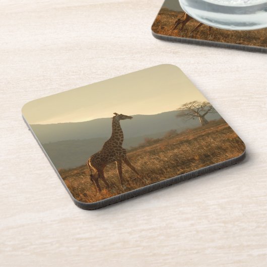 Giraffe in de Savannah Bier Onderzetter (Linkerzijde)