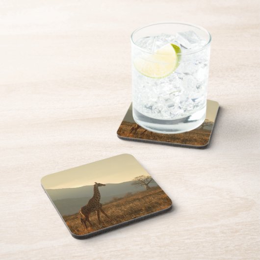 Giraffe in de Savannah Bier Onderzetter (Rechterzijde)