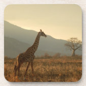 Giraffe in de Savannah Bier Onderzetter (Voorkant)