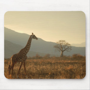 Giraffe in de Savannah Muismat