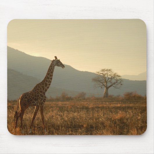 Giraffe in de Savannah Muismat (Voorkant)