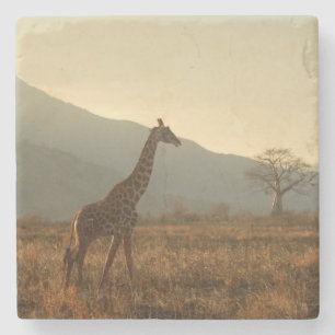 Giraffe in de Savannah Stenen Onderzetter