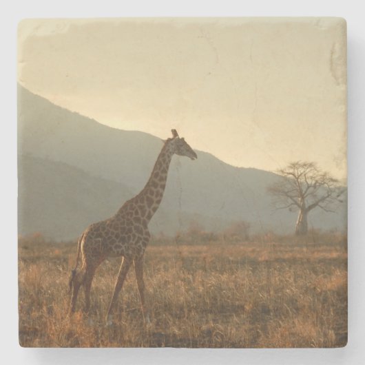 Giraffe in de Savannah Stenen Onderzetter (Voorkant)