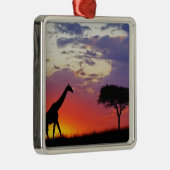 Giraffe in de zon, Giraffa Metalen Ornament (Rechts)
