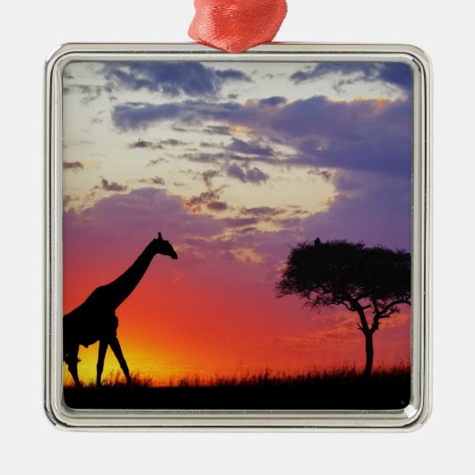 Giraffe in de zon, Giraffa Metalen Ornament (Voorkant)