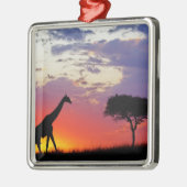 Giraffe in de zon, Giraffa Metalen Ornament (Links)