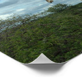 Giraffe in Dusk Poster (Hoek)