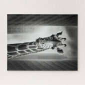 Giraffe in een Cityscape Legpuzzel (Horizontaal)