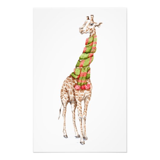 Giraffe in een Scarf Foto Afdruk (Voorkant)