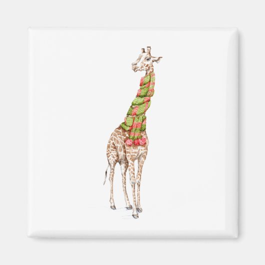 Giraffe in een Scarf Magneet (Voorkant)