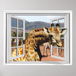 Giraffe in Fake Window Uitzicht Trompe l'oeil Effe Poster