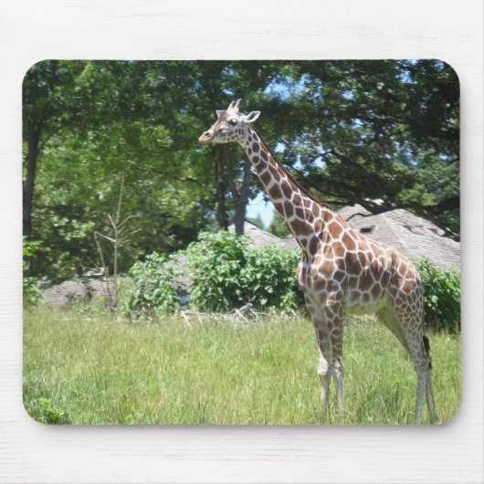 Giraffe in het wild muismat (Voorkant)
