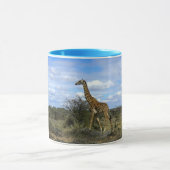 Giraffe IN KENIA AFRIKA Mok (Midden)