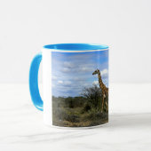 Giraffe IN KENIA AFRIKA Mok (Voorkant links)