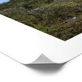 GIRAFFE IN KENIA AFRIKA POSTER (Hoek)