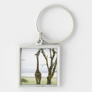 Giraffe in Kenia, Afrika Sleutelhanger