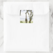 Giraffe in Kenia, Afrika Vierkante Sticker (Tas)