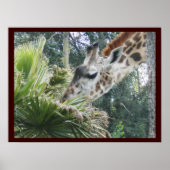 Giraffe in Lunch Poster (Voorkant)