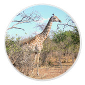 GIRAFFE IN NATUURLIJKE HABITAT (BOTSWANA) KERAMISCHE KNOP (Voorkant)