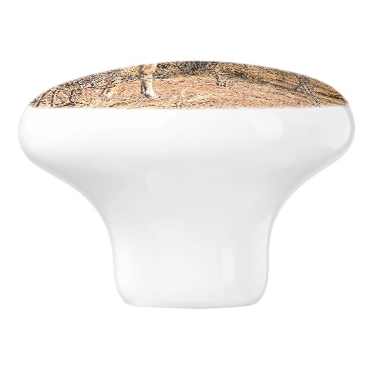 GIRAFFE IN NATUURLIJKE HABITAT (BOTSWANA) KERAMISCHE KNOP (Zijkant)