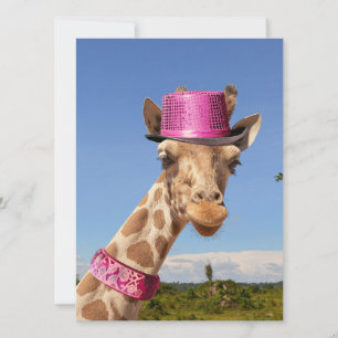 Giraffe in sparkly roze pet