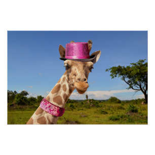 Giraffe in sparkly roze pet perfect poster