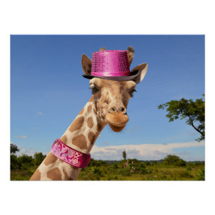 Giraffe in sparkly roze pet perfect poster