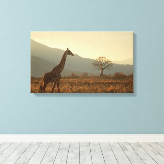 Giraffe in the Savannah Canvas Afdruk (Insitu (Houten vloer))