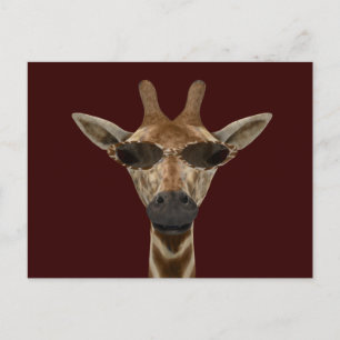 Giraffe Incognito Briefkaart
