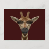 Giraffe Incognito Briefkaart (Voorkant)