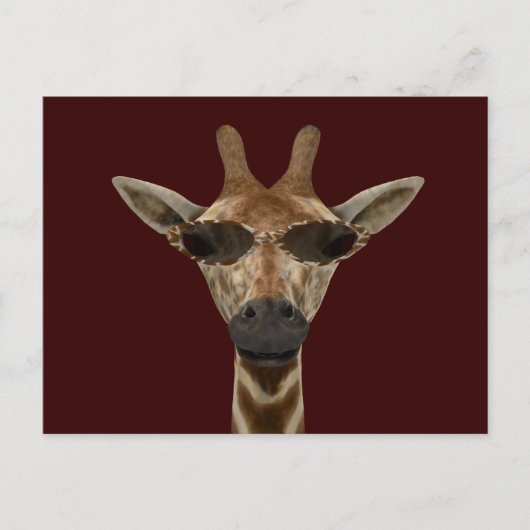 Giraffe Incognito Briefkaart (Voorkant)