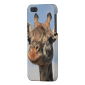 Giraffe iPhone Hoesje (Achterkant Links)