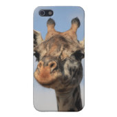 Giraffe iPhone Hoesje (Achterkant)