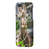 Giraffe iPhone Hoesje (Achterkant Links)