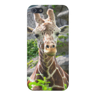 Giraffe iPhone 5 Hoesje