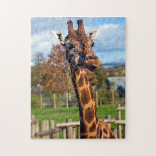 Giraffe Jigzaadpuzzel Legpuzzel