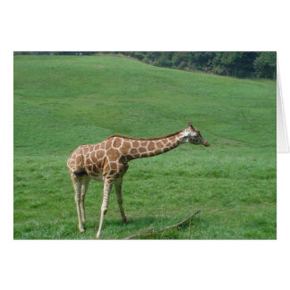 Giraffe kaart!