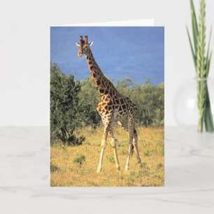 Giraffe Kaart