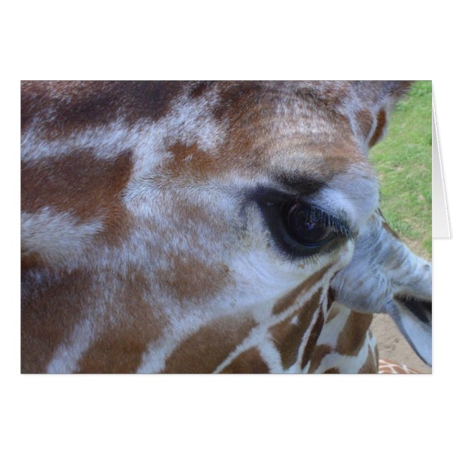 Giraffe kaart! (Voorkant Horizontaal)